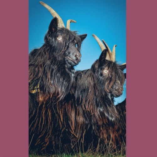 Martina Berther & Philipp Schlotter - Silence Will Never Die (White Vinyl)