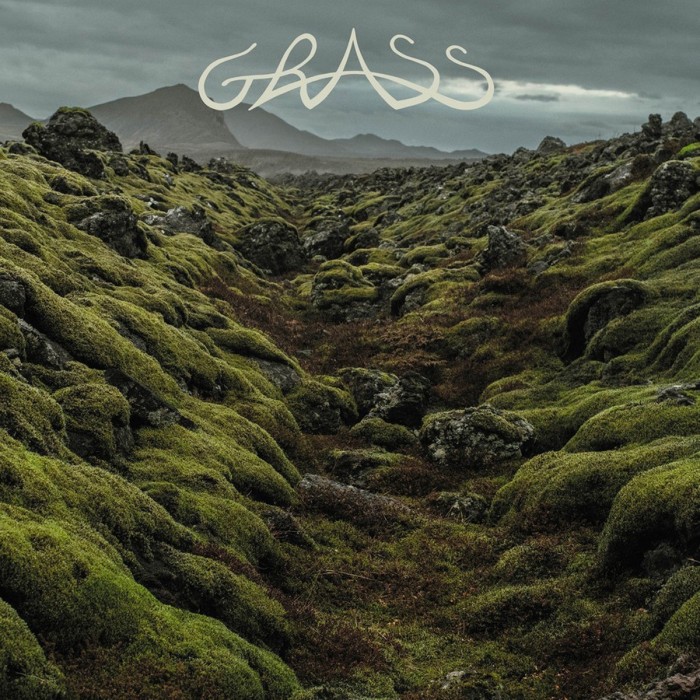 Grass - Grass