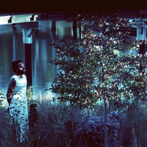 JJJJJerome Ellis - Vesper Sparrow