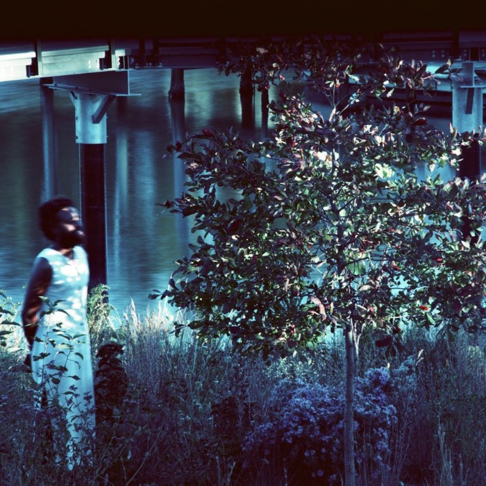 JJJJJerome Ellis - Vesper Sparrow