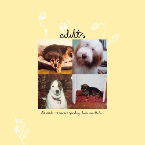 Adults - Seeds We Sow Are Sprouting Buds Nonetheless (Green Vinyl)