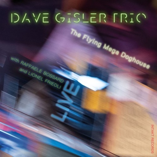 Dave Gisler Trio - The Flying Mega Doghouse