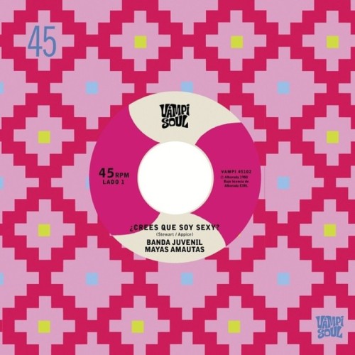 Banda Juvenil Mayas Amautas & Los Bravos Del Ande - Crees Que Soy Sexy? / El Travoltoso