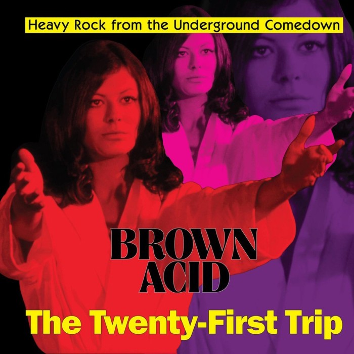 Various Artists - Brown Acid - The Twenty - First Trip