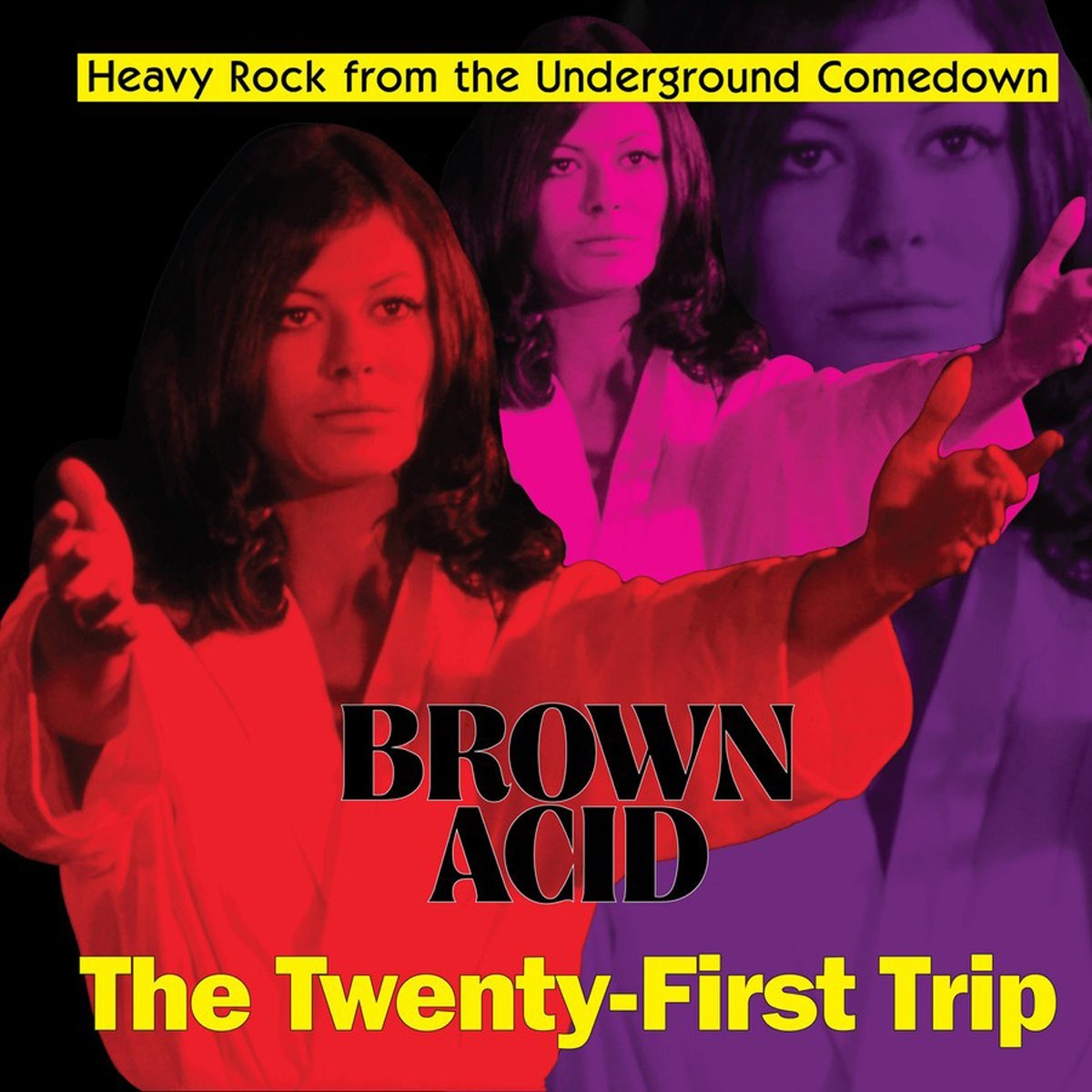 Various Artists - Brown Acid - The Twenty - First Trip