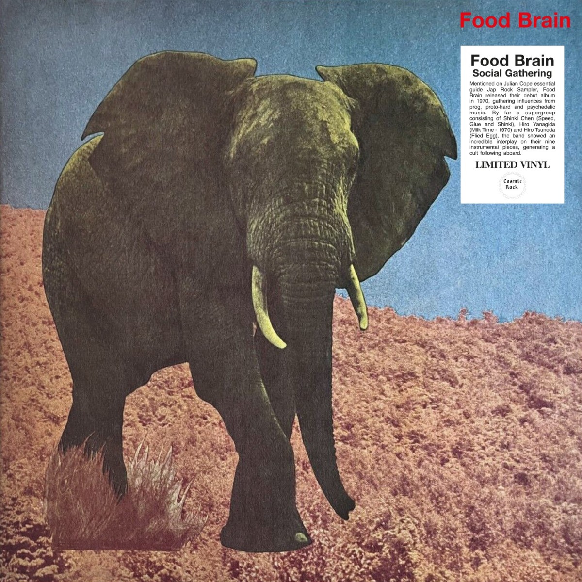 Food Brain - Social Gathering