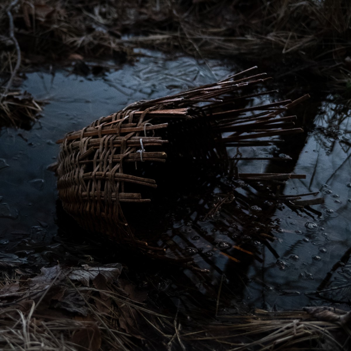 Massimo Silverio - Surtum