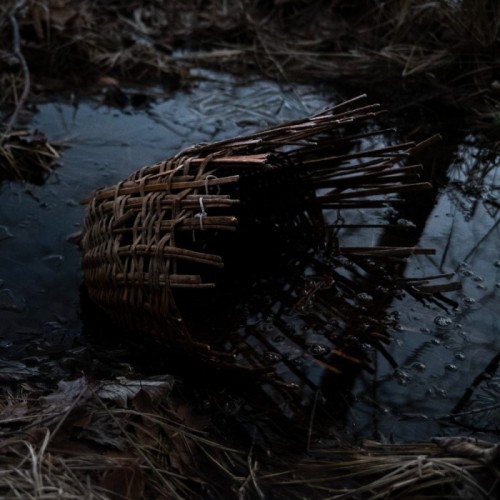 Massimo Silverio - Surtum