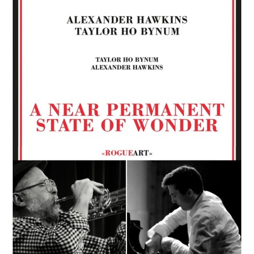 Alexander Hawkins & Taylor Ho Bynum - A Near Permanent State Of Wonder