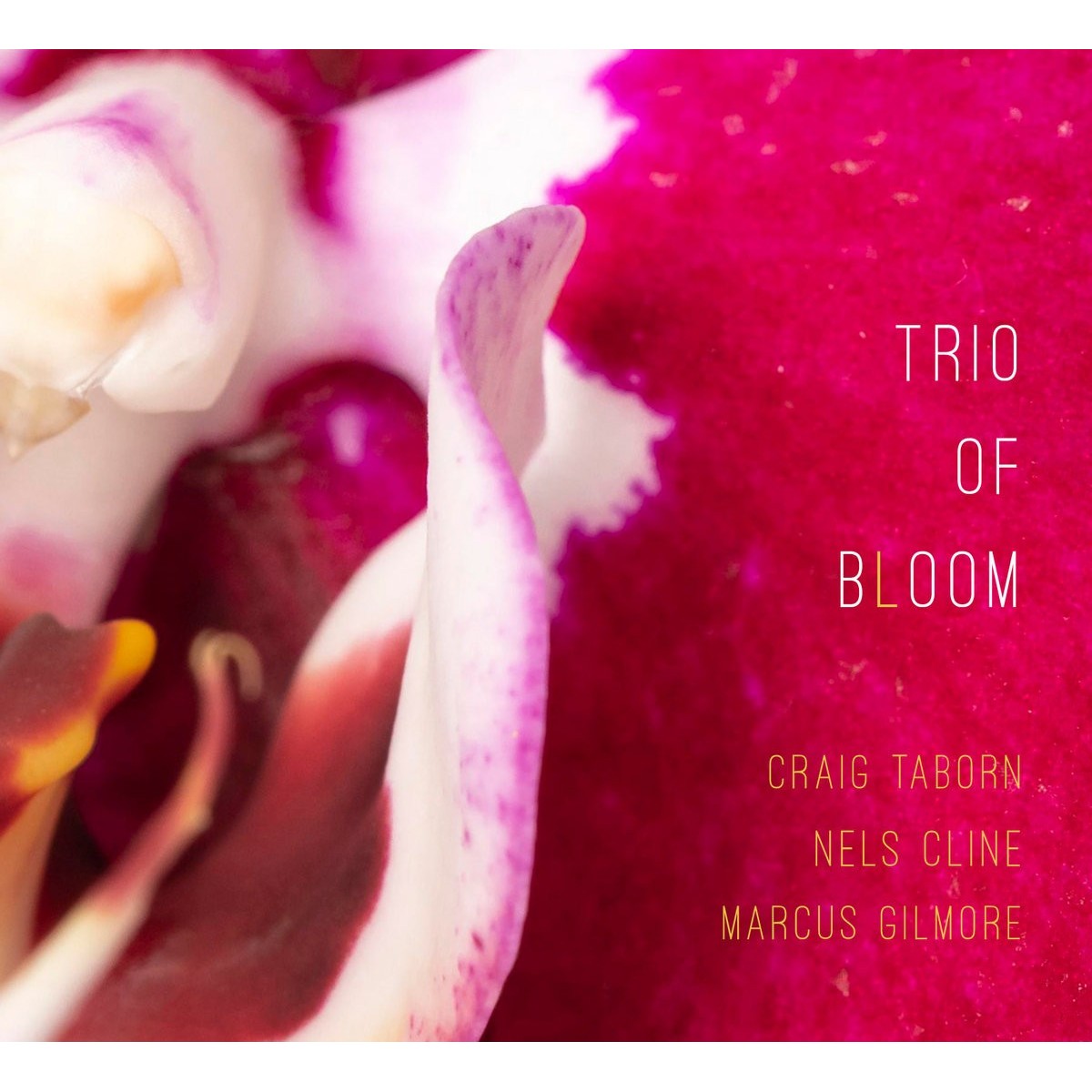 Craig Taborn & Nels Cline & Marcus Gilmore - Trio Of Bloom