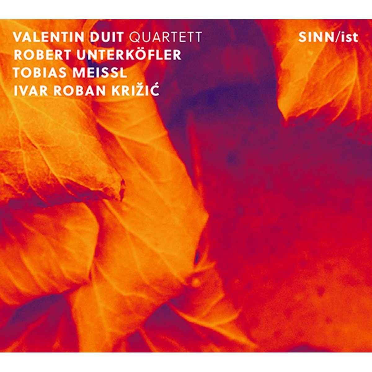 Valentin Duit Quartett - Sinn / Ist