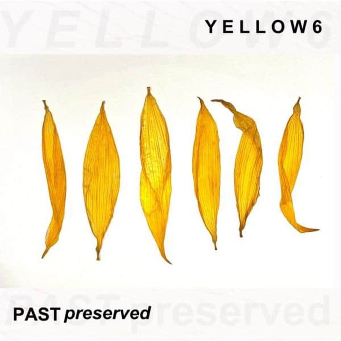 Yellow6 - Past Preserved