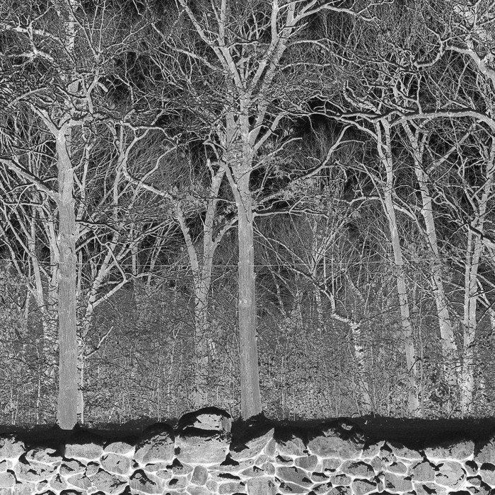 Pile - Sunshine And Balance Beams (Clear Vinyl)