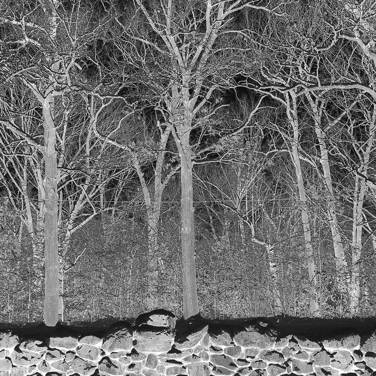 Pile - Sunshine And Balance Beams (Clear Vinyl)