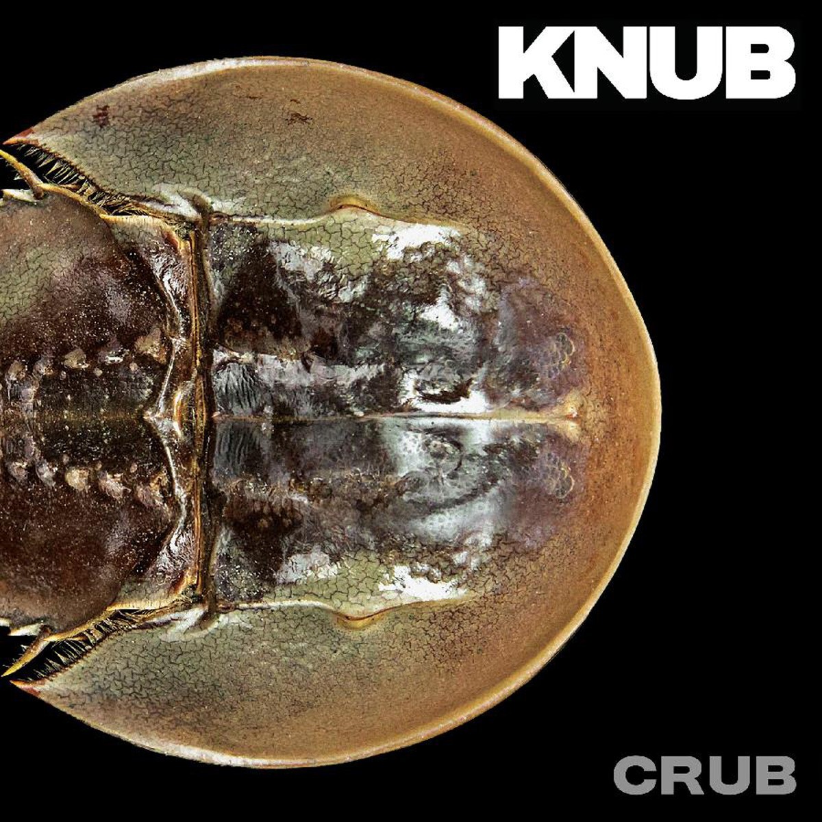 Knub - Crub