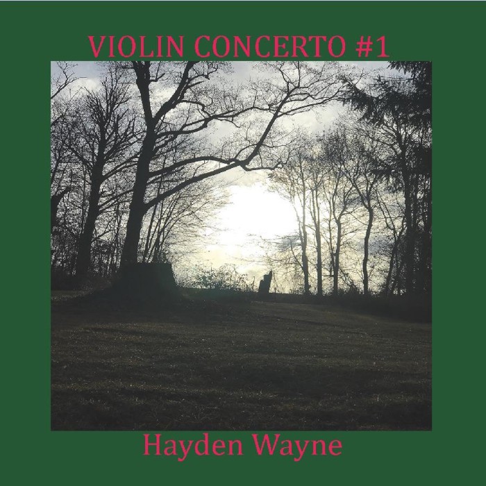 Hayden Wayne - Violin Concerto N.1