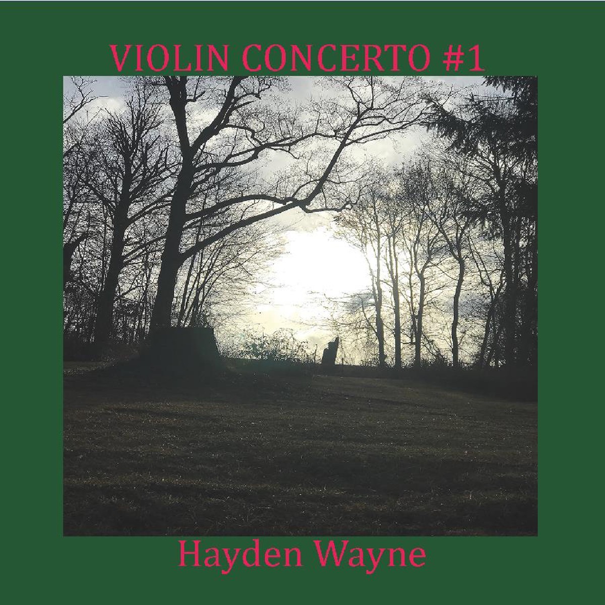 Hayden Wayne - Violin Concerto N.1