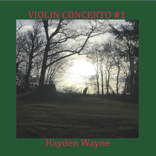 Hayden Wayne - Violin Concerto N.1