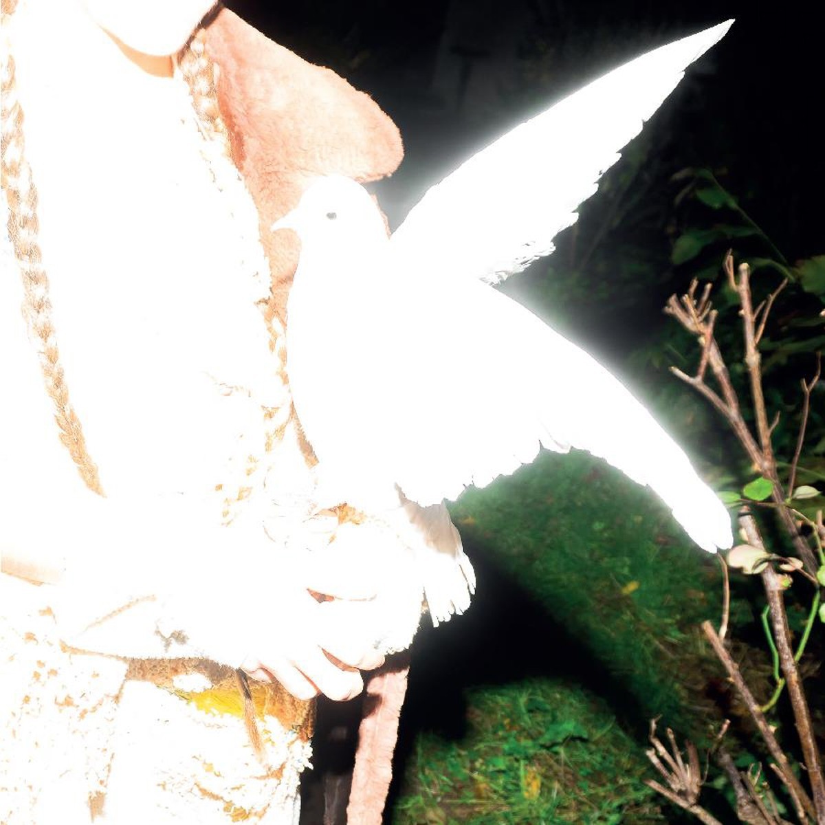 Elisabeth Klinck - Chronotopia (White Vinyl)