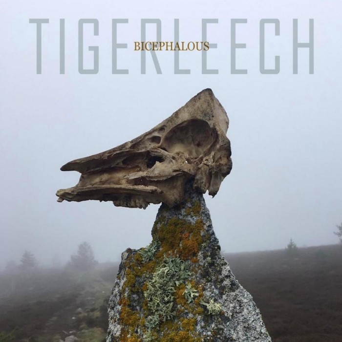 Tigerleech - Bicephalous