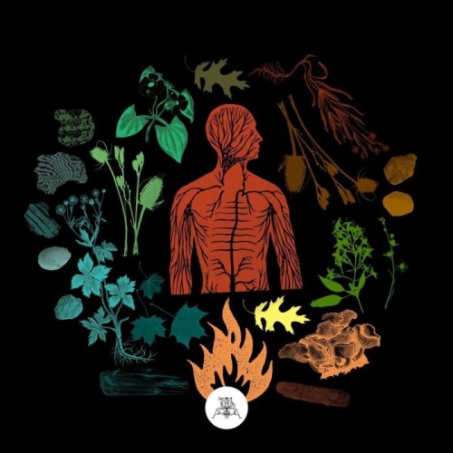 Camp Of Wolves - Bear Creek