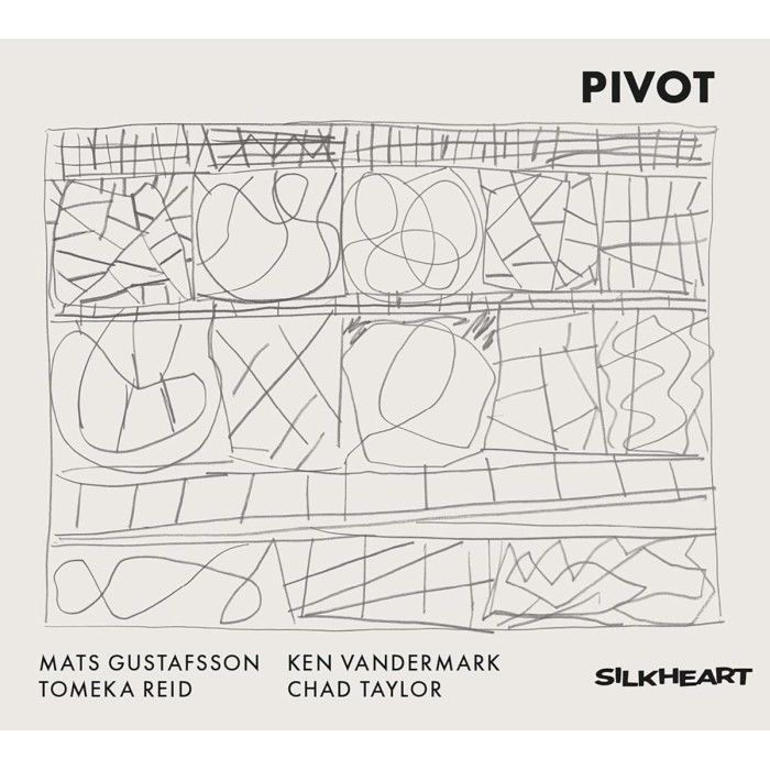 Mats Gustafsson & Ken Vandermark & Tomeka Reid & Chad Taylor - Pivot