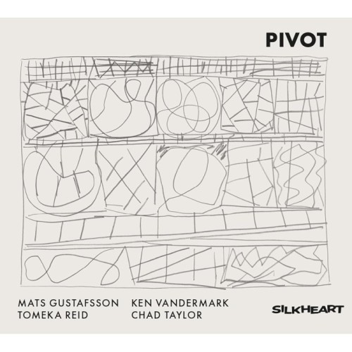 Mats Gustafsson & Ken Vandermark & Tomeka Reid & Chad Taylor - Pivot