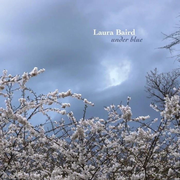 Laura Baird - Under Blue