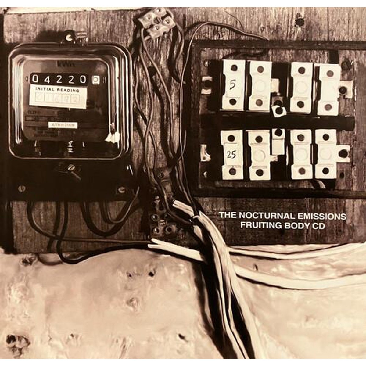 Nocturnal Emissions - Fruiting Body (Deluxe)