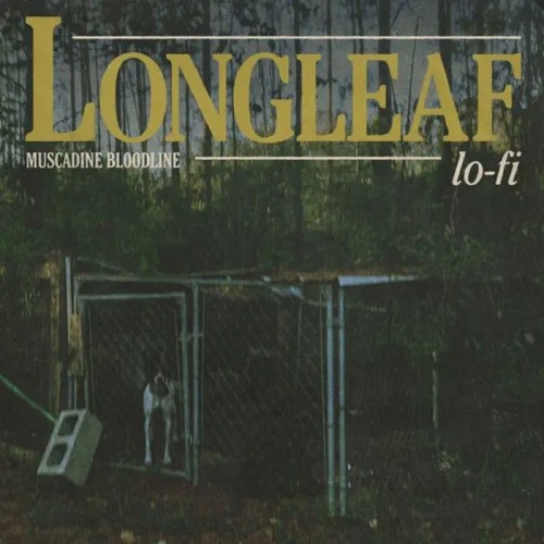 Muscadine Bloodline - Longleaf Lo-Fi