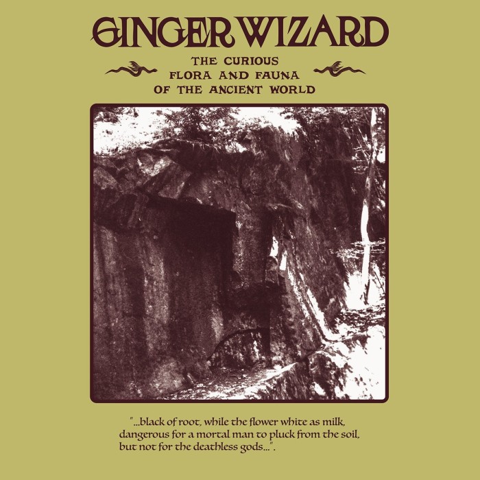Ginger Wizard - Curious Flora And Fauna Of The Ancient World