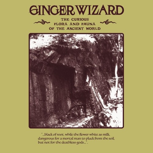 Ginger Wizard - Curious Flora And Fauna Of The Ancient World