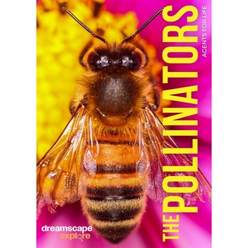 Various Artists - Dreamscape Explore. The Pollinators, Agents For Life