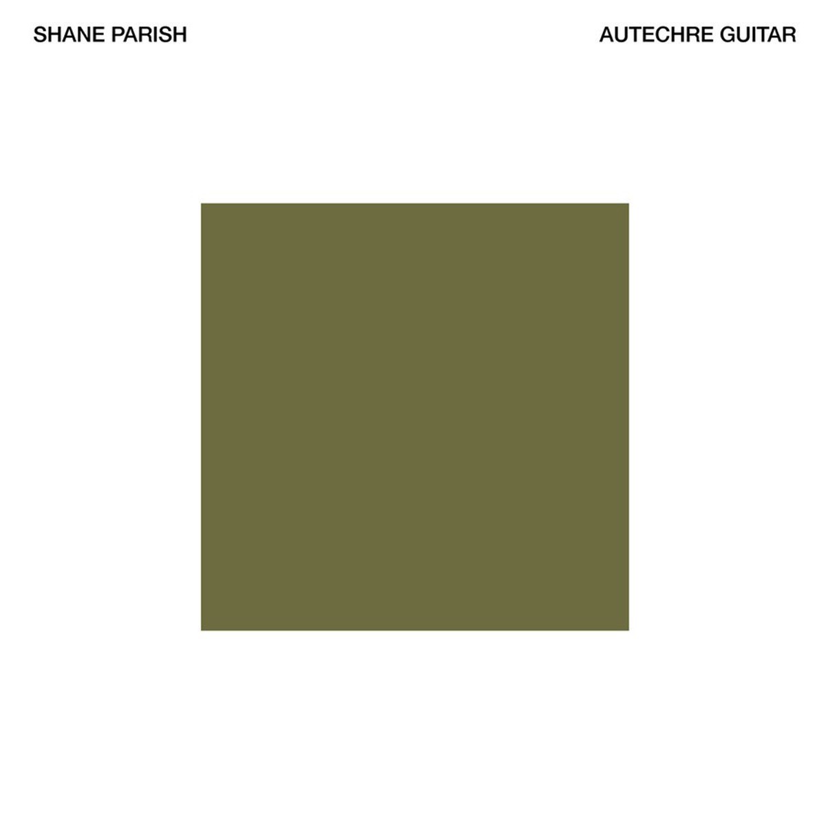 Shane Parish - Autechre Guitar