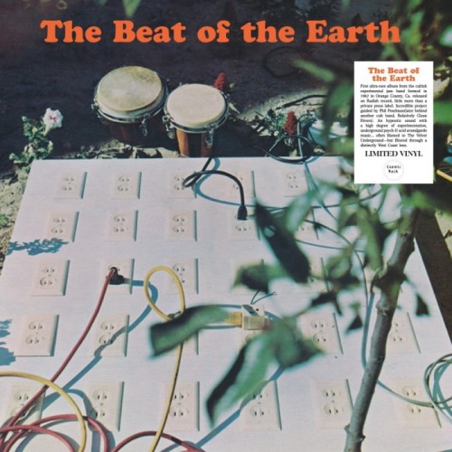 The Beat Of The Earth - The Beat Of The Earth