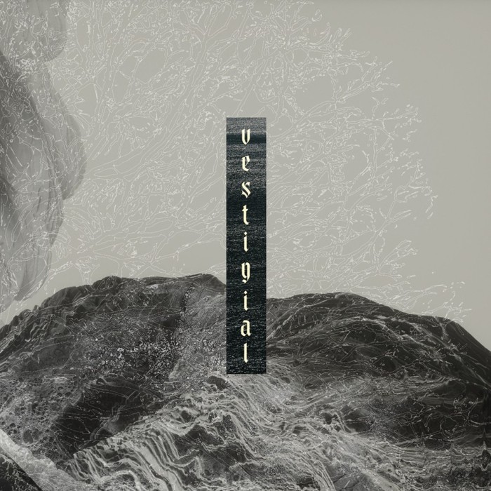 Vestigial - Descending Vastness