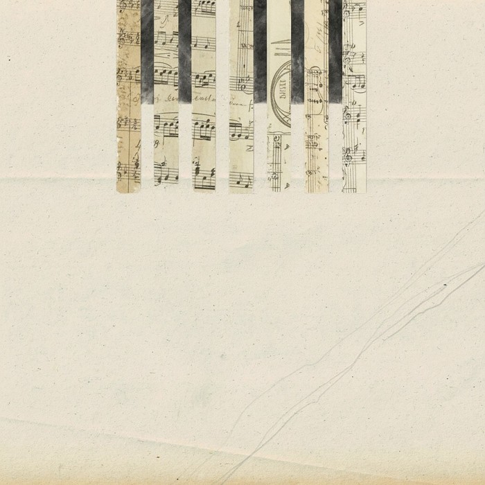 Coh & Wladimir Schall - Covers (Ltd. Art Edition With Handcrafted Covers, Incl. 12" Inlay)