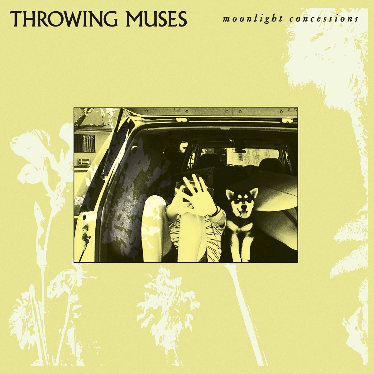 Throwing Muses - Moonlight Concessions (Clear Vinyl)