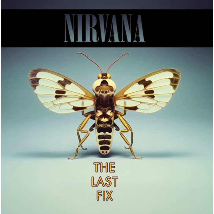 Nirvana - The Last Fix
