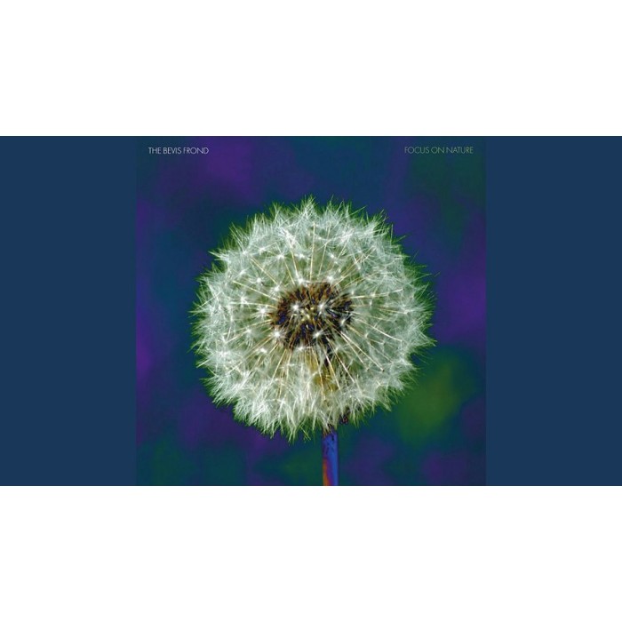 The Brian Jonestown Massacre - Tepid Peppermint Wonderland Volume 2