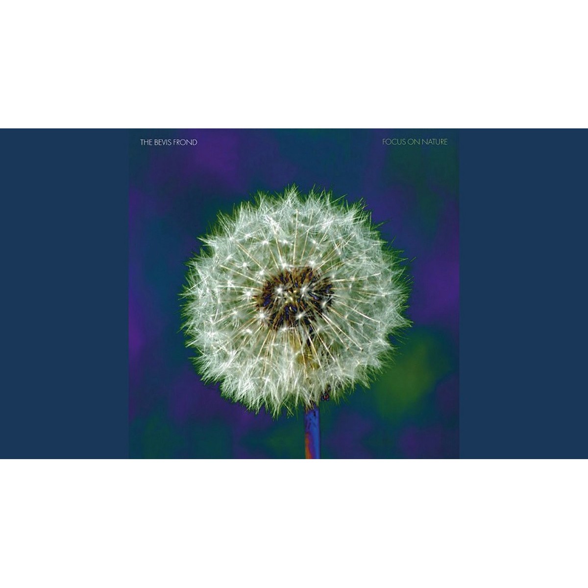 The Brian Jonestown Massacre - Tepid Peppermint Wonderland Volume 2