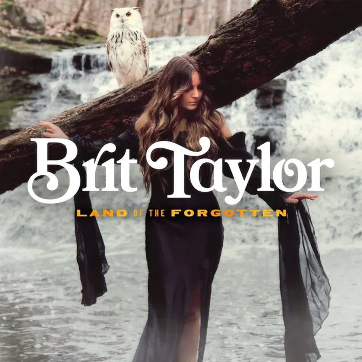 Brit Taylor - Land Of The Forgotten