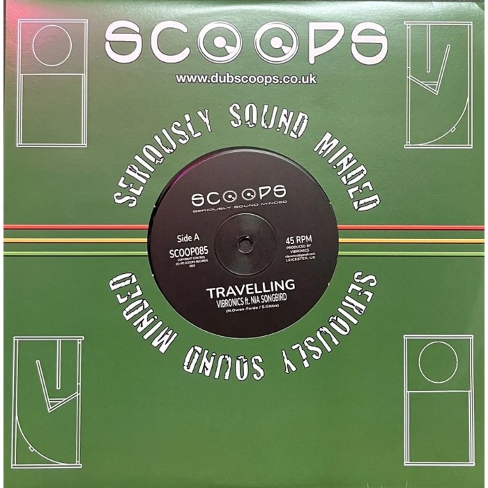 Vibronics & Nia Songbird - Travelling