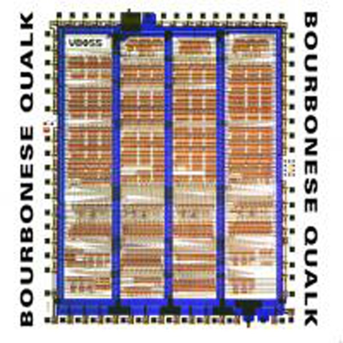 Bourbonese Qualk - My Government Is My Soul