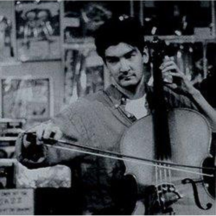 Magnetic Fields - 69 Love Songs: Volume 2
