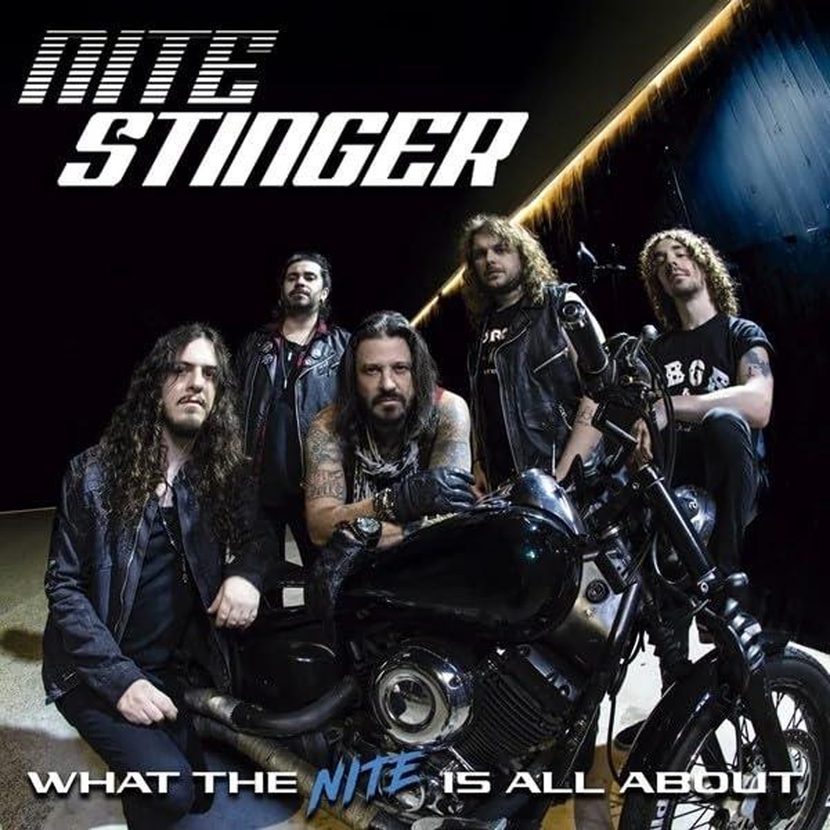 Nite Stinger - What The Nite Is All About