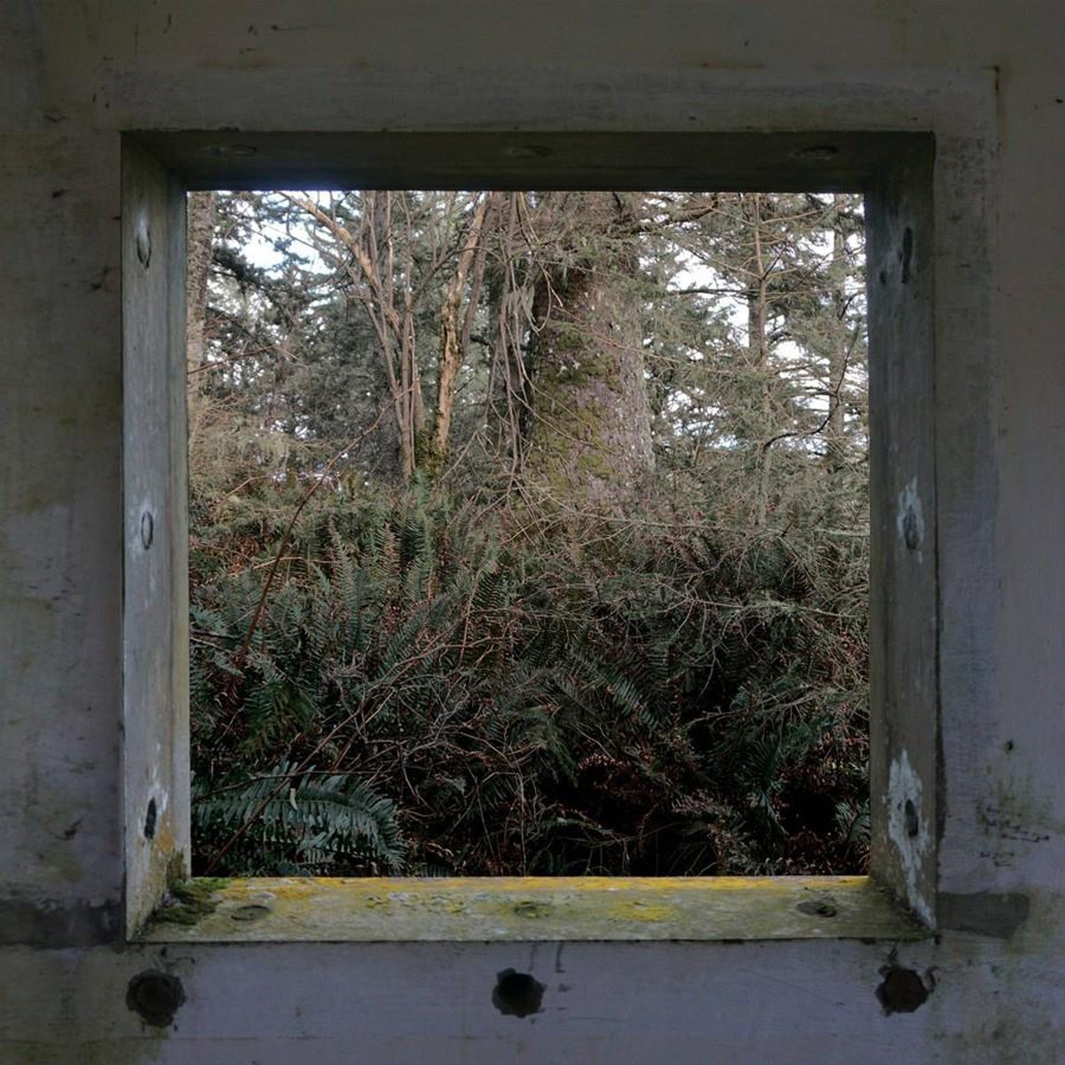 Derek Hunter Wilson - Sculptures