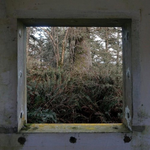 Derek Hunter Wilson - Sculptures