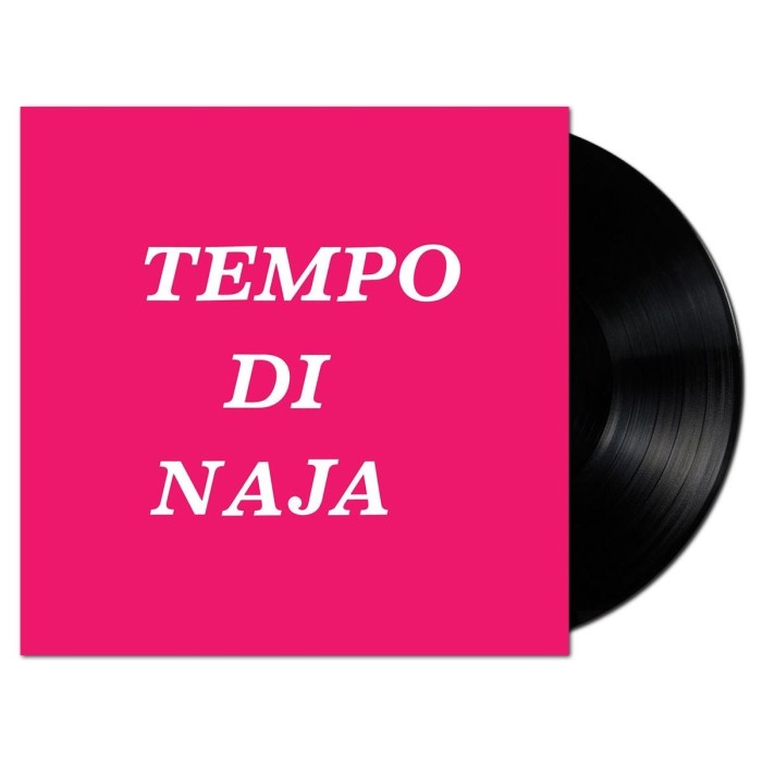Remigio Ducros - Tempo Di Naja