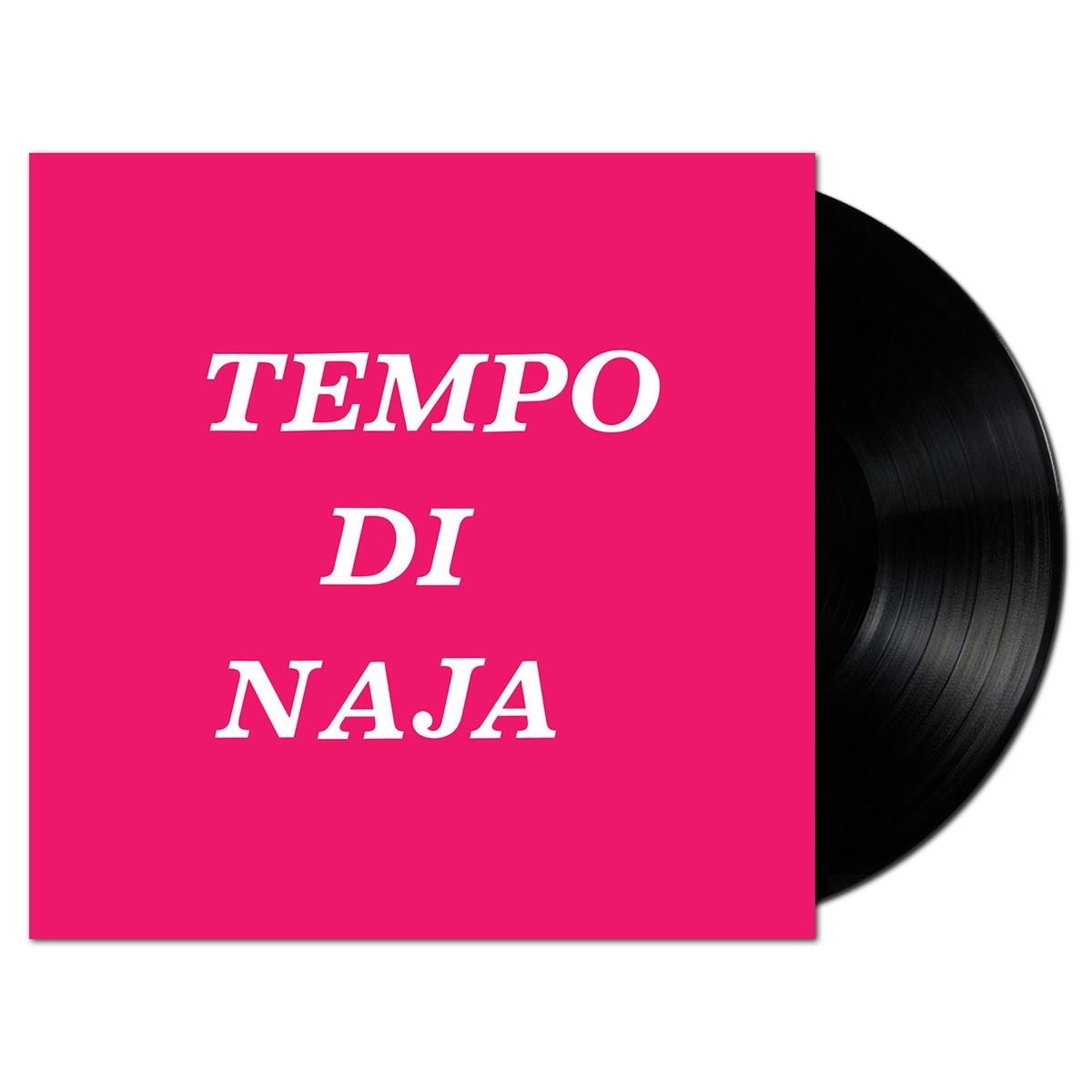 Remigio Ducros - Tempo Di Naja